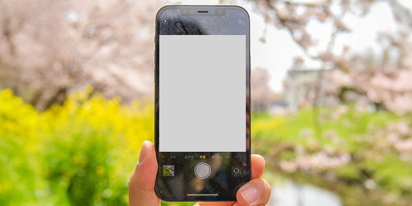 バックカメラ故障