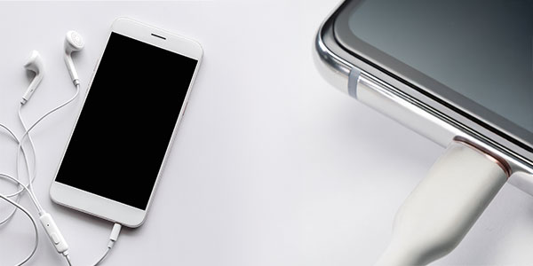 充電コネクタ・イヤホン